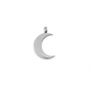 Bedel maan La luna zilver RVS