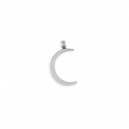 Bedel maan La luna zilver RVS