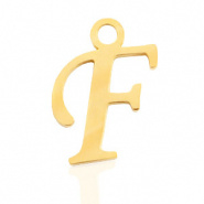 Bedel initial letter F RVS goud