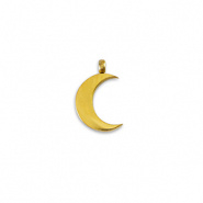 Bedel maan La luna goud RVS