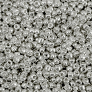 Rocailles zilver shine metallic 3 mm 20 gram