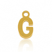 Bedel initial letter G RVS goud