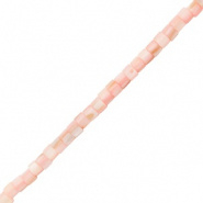 Schelp kraal roze sand brown tube 3 mm 30 stuks