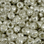 Rocailles zilver warm shine metallic 4 mm 20 gram