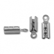 Veterklem 10x3 mm RVS 8 stuks