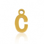 Bedel initial letter C RVS goud