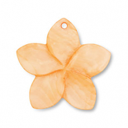 Schelp hanger oranje
