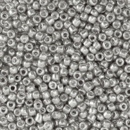 Rocailles zilver shine metallic 2 mm 20 gram