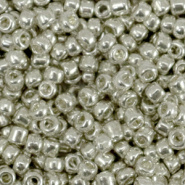 Rocailles zilver warm shine metallic 3 mm 20 gram