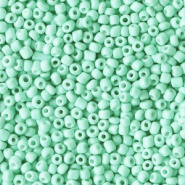 Rocailles groen turquoise mint 2 mm 20 gram