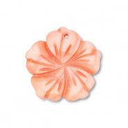 Schelp hanger roze peach