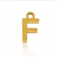 Bedel initial letter F RVS goud