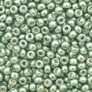 Miyuki rocailles groen sea duracoat galvanized 3 mm 5 gram