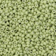 Miyuki rocailles groen fennel duracoat opaque 2 mm 5 gram