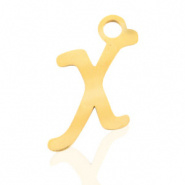 Bedel initial letter X RVS goud