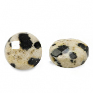 Natuursteen kraal Jasper 7 mm coin facet