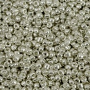 Rocailles zilver warm shine metallic 2 mm 20 gram