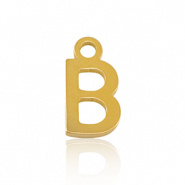 Bedel initial letter B RVS goud