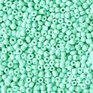 Rocailles groen mint turquoise 2 mm 20 gram