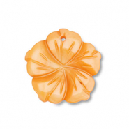 Schelp hanger oranje