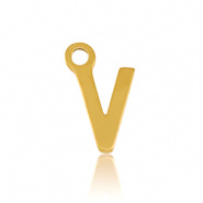 Bedel initial letter V RVS goud