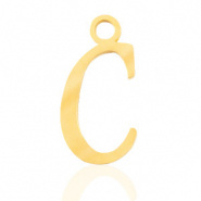 Bedel initial letter C RVS goud