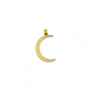 Bedel maan La luna goud RVS