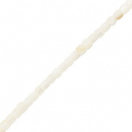 Schelp kraal wit sand brown tube 3 mm 30 stuks