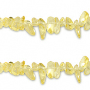 Chips stone kralen geel golden transparant 40 stuks