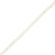 Schelp kraal wit 3 mm 25 stuks