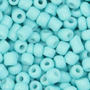 Rocailles blauw turquoise licht 4 mm 20 gram