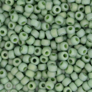 Miyuki rocailles groen pistachio glazed frosted opaque 3 mm 5 gram