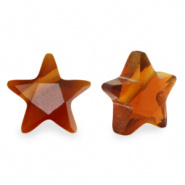 Facetkraal bruin topaz ster