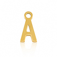 Bedel initial letter A RVS goud