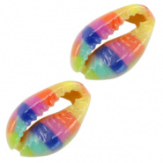 Schelp kraal kauri rainbow multicolor 3 stuks