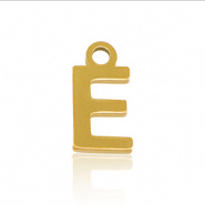 Bedel initial letter E RVS goud