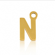 Bedel initial letter N RVS goud