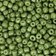 Rocailles groen calliste 3 mm 20 gram