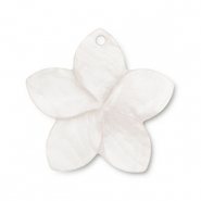 Schelp hanger wit