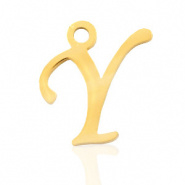 Bedel initial letter Y RVS goud