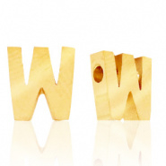 Initiaal letterkraal RVS W goud