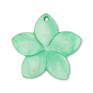 Schelp hanger groen