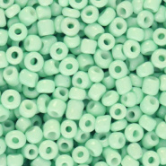 Rocailles groen mint neo 3 mm 20 gram