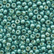 Miyuki rocailles groen sea foam duracoat galvanized 3 mm 5 gram