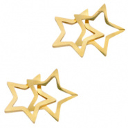 Bedel ster double goud RVS connector