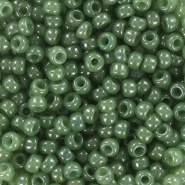 Miyuki rocailles groen sage translucent ceylon 3 mm 5 gram