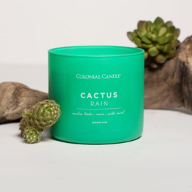 Cactus Rain Colonial Candle Pop Of Color sojablend geurkaars  411 g