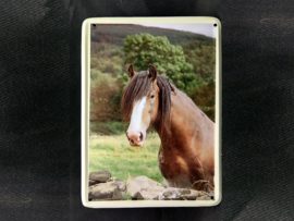 Paard achter stenen muur   Vintage Muurbordje metaal