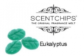 Scentchips® Eucalyptus