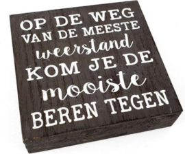 Tekstblok Op de weg van de meeste weerstand  kom je de mooiste....